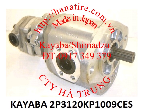 2P3120KP1009CES-1