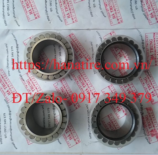 bac dan INA F204783