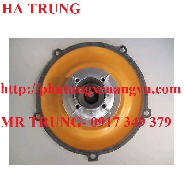 BO MANG GAS WOODWARD XE NANG