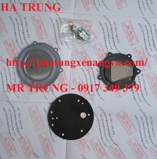 BO MANG GAS XE NANG HYSTER