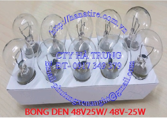 bong den 48v25w