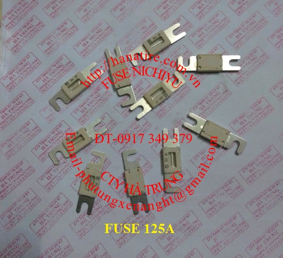cau chi 125a
