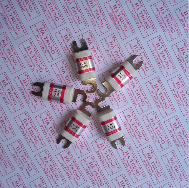 fuse cau chi 130a