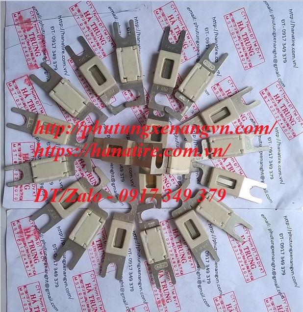 fuse cau chi 150a