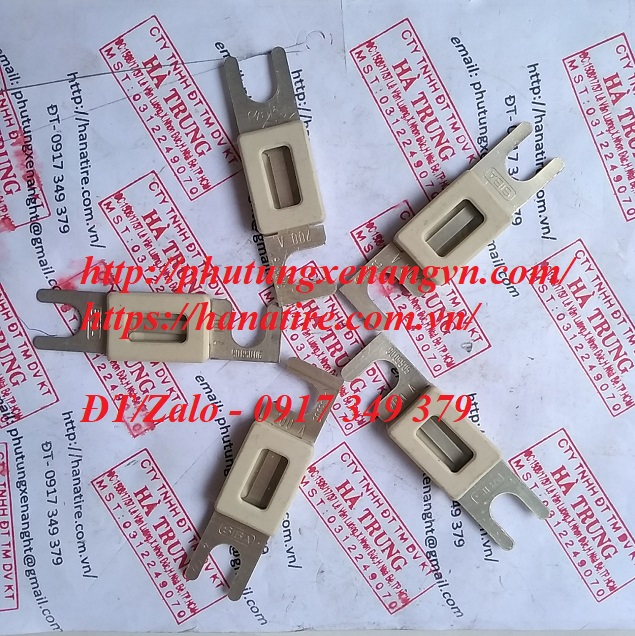 fuse cau chi 175a