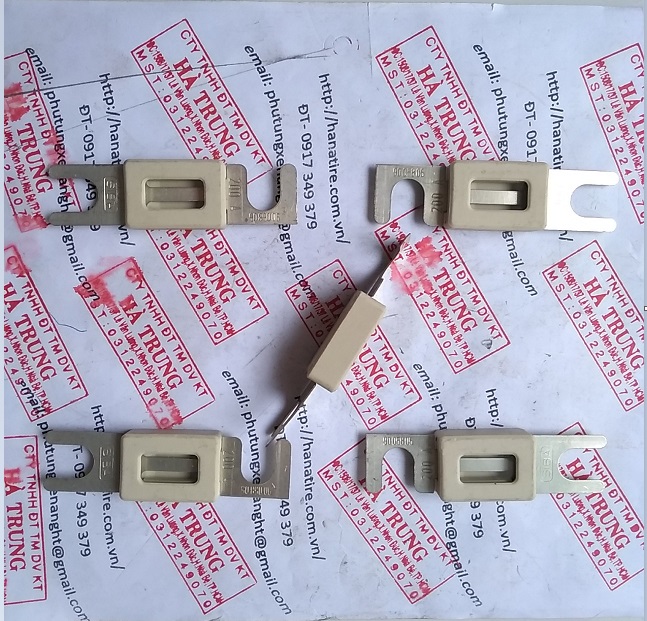 fuse cau chi 250a