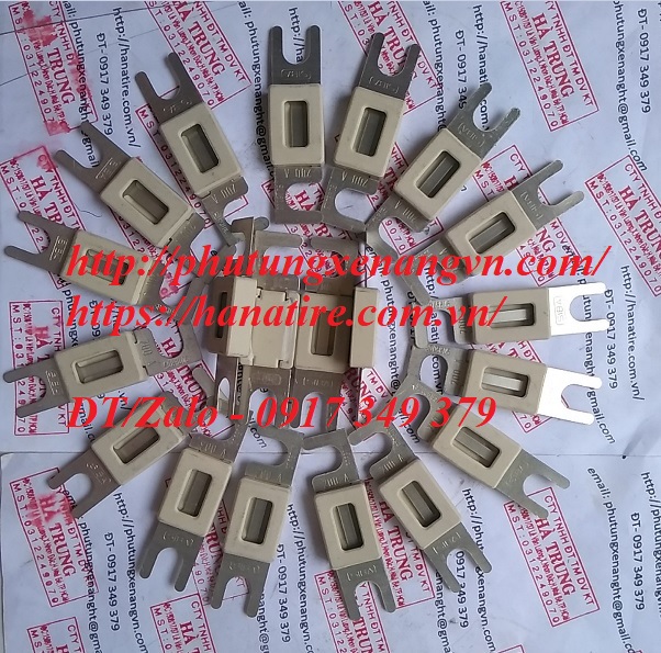 fuse cau chi 40A