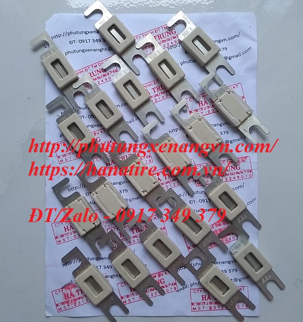 fuse cau chi 50A