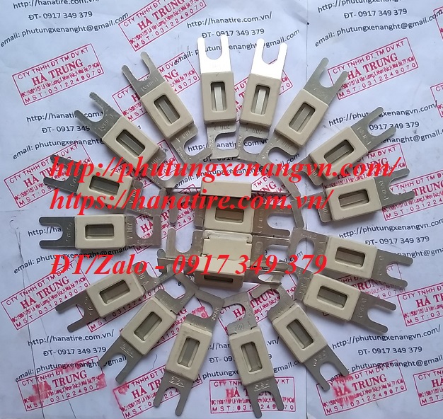 fuse cau chi 63a