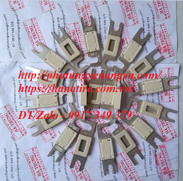 fuse cau chi 80a