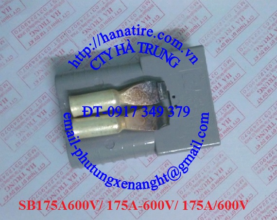 giac cam sac acquy xe nang 175A