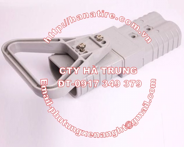 giac may sac binh acquy xe nang dien