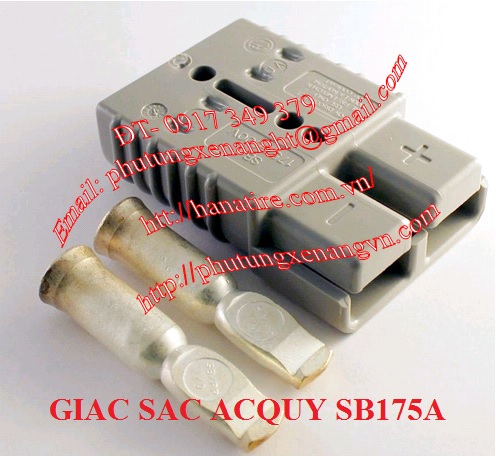 giac sac acquy 175a