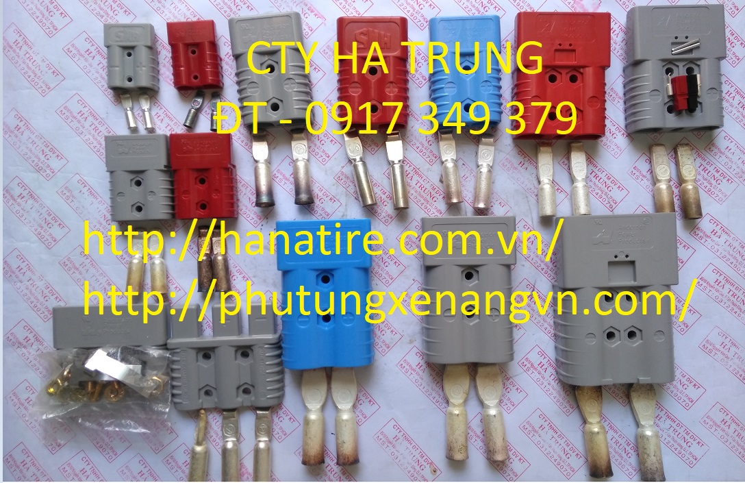 GIAC SAC BINH ACQUY ANDERSON