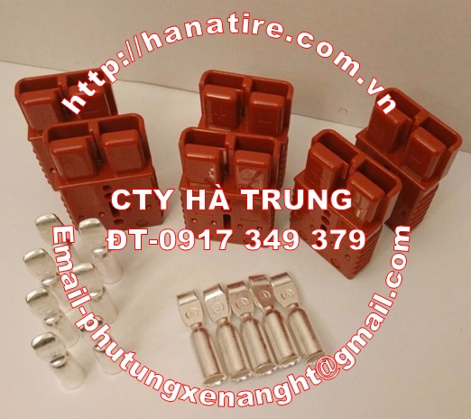 giac sac binh acquy hitachi