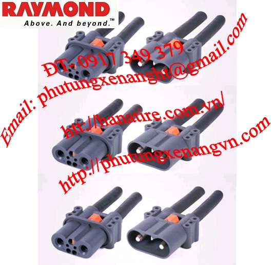 rac binh dien xe nang raymond forklift