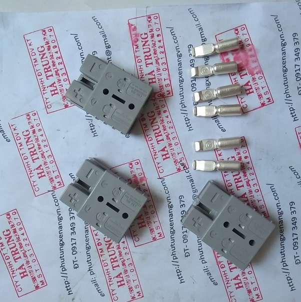 rac sac acquy xe nang rema sr50a