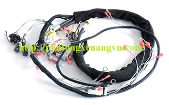 Bộ dây điện Raymond 102XM