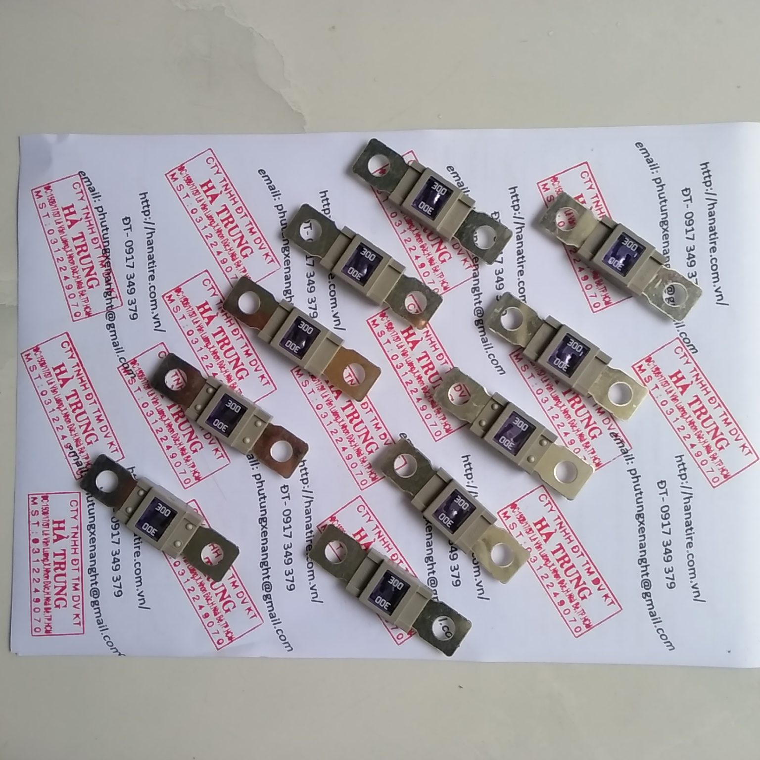 Fuse- Cau Chi 250A