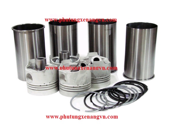 Gear-Injection Pump XJBT-01906
