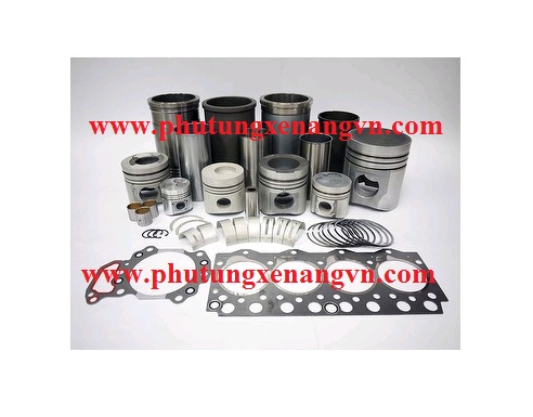 Piston Ring Assy XJBT-01991