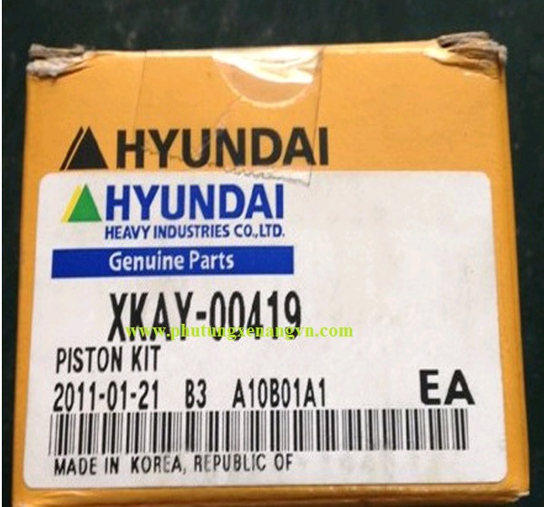 Air filter 15D1-10220