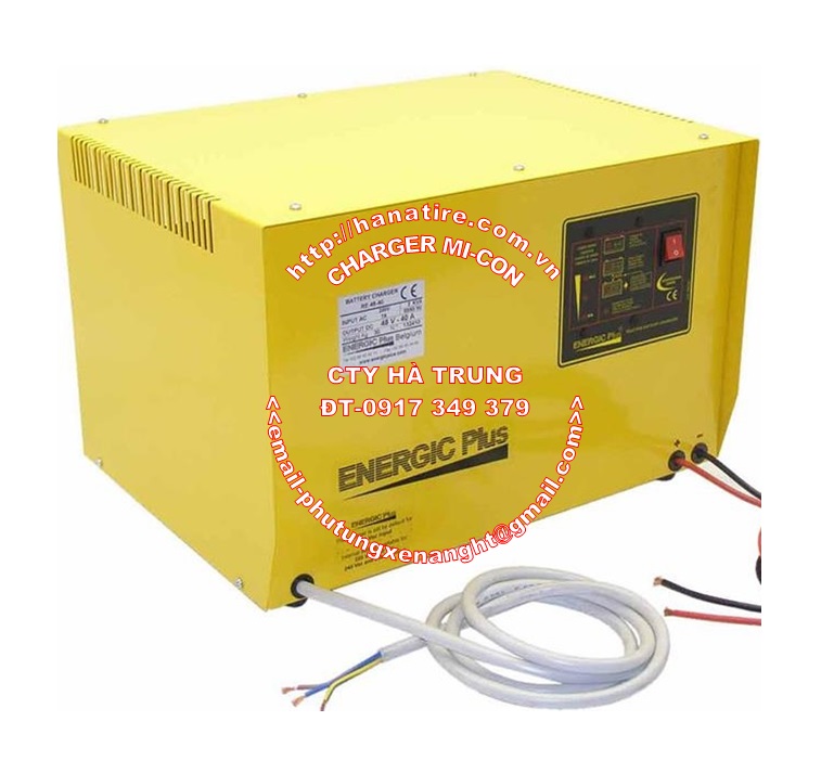 Charger Assy D559507 - Bo sac acquy xe nang 48V