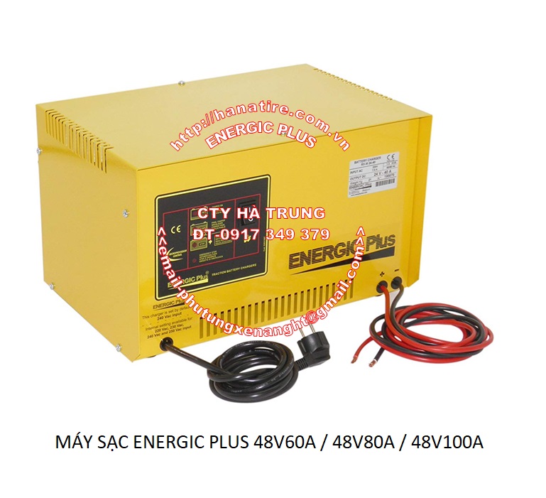 Charger Assy D559513 - Máy Sạc Ắc Quy Xe Nâng 46V60A
