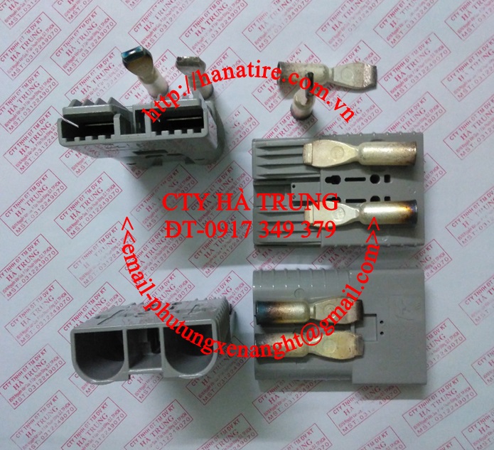 Giac sac acquy xe nang