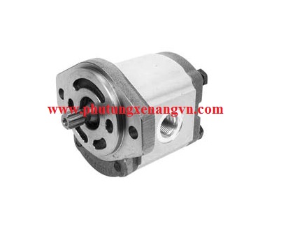 Hydraulic pump 313107-000