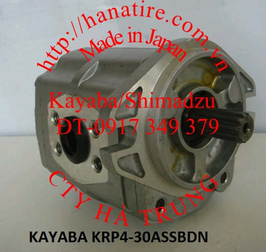 Bơm thủy lực Shimadzu TMG1A18R621- Hydraulic pump- Made in Japan