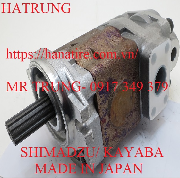 Hydraulic pump SDYA56.7F9H9-L567 