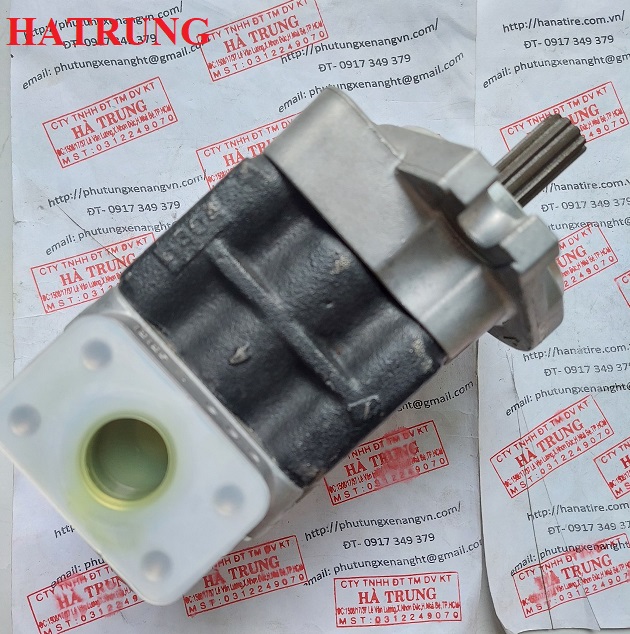 Hydraulic pump SGP136L317 