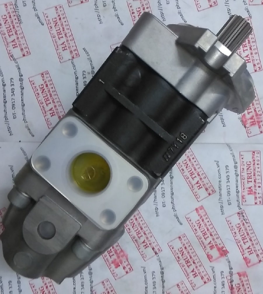 Hydraulic pump SGP2A44F3H9L451 