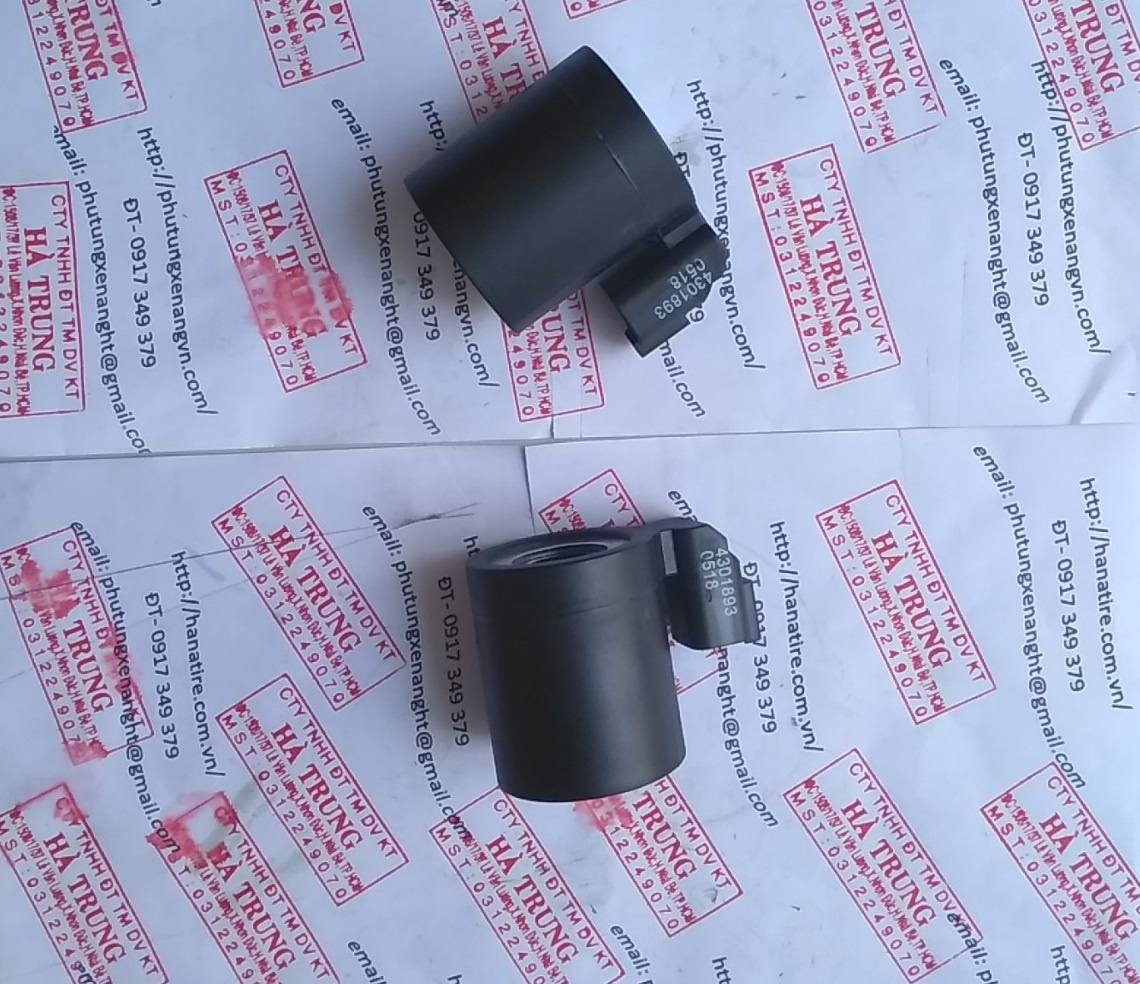 Van Solenoid 4301874
