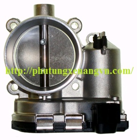 Throttle body controller F02UV01171-01
