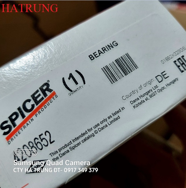 Dana Spicer 4208652