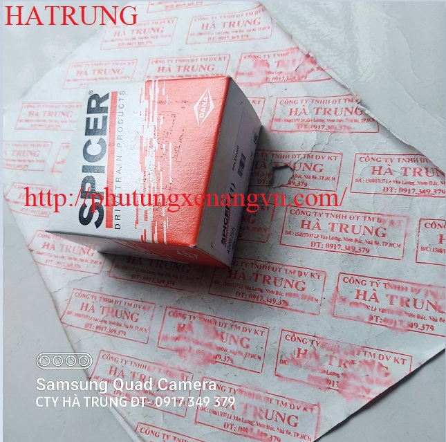 SPICER 4203147