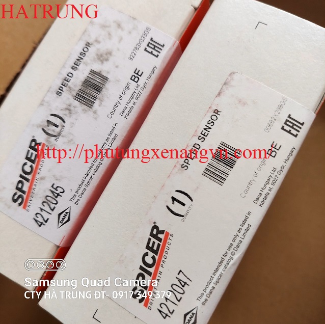 SPICER 4212045