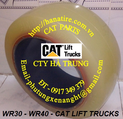 CAT WR30 Bánh xe nâng điện - MADE IN KOREA